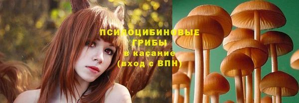 гашик Абдулино