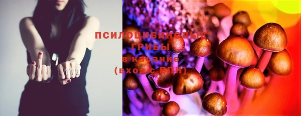 гашик Абдулино