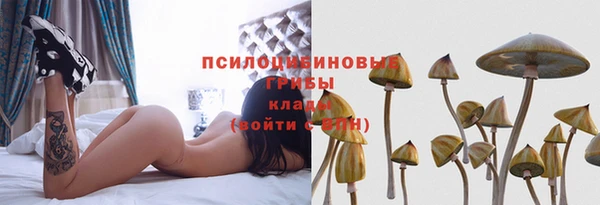 гашик Абдулино