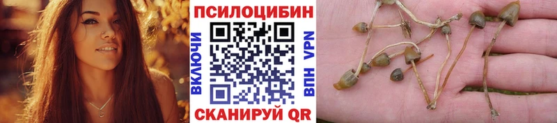 Псилоцибиновые грибы ЛСД Сарапул