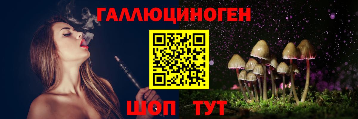 Галлюциногенные грибы Psilocybine cubensis Сарапул